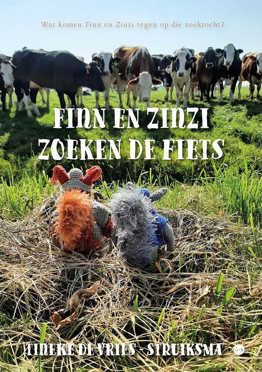 Finn-en-Zinzi_derdeboek
